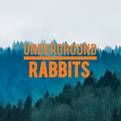 Resumen del curso: Campañas para Underground Rabbits. Un proyecto de Marketing Digital de Albert Martín - 09.02.2021