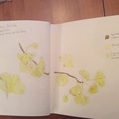 My project in Botanical Watercolor Sketchbook course. Botanical Illustration, Drawing, Naturalistic Illustration, and Watercolor Painting project by Carol Gordon - 02.22.2021