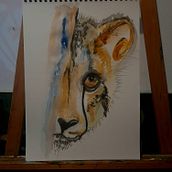 Animales en acuarela. Een project van Aquarelschilderen van Valeria Astudillo Olivares - 10.02.2021