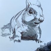 Brash Pen. Un progetto di Illustrazione tradizionale di Thomas van der Heide - 10.02.2021