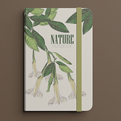 Mi Proyecto del curso: Ilustración botánica con acuarela. Un progetto di Illustrazione naturalistica di Juan Martinez Moscoso - 11.02.2021