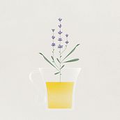 Botanics & tea. Botanical Illustration, and Digital Illustration project by Carmen DM - 07.02.2020