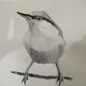 My project in Artistic Watercolor Techniques for Illustrating Birds course. Watercolor Painting project by Julia C - 02.23.2021