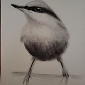 I need a better eraser to lift off the extra heavy shading.. Watercolor Painting project by pchance_1 - 02.12.2021
