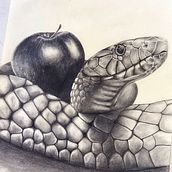 Dibujos carbonzillo. Un progetto di Belle arti, Disegno a matita e Disegno artistico di David López - 13.02.2021