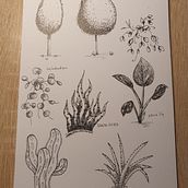 My project in Drawing for Beginners Level -1 course. Traditional illustration project by Alina Kramarenko - 02.13.2021