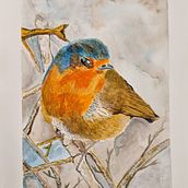 Robin. Un proyecto de Pintura a la acuarela de Deborah Clark - 13.02.2021
