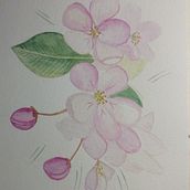 Mi Proyecto del curso: Creación de paletas de color con acuarela. Watercolor Painting project by Isabel Delgado Martinez - 02.14.2021