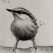 My project in Artistic Watercolor Techniques for Illustrating Birds course. Een project van Aquarelschilderen van Corina Calabrese - 23.02.2021