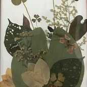 Mi Proyecto del curso: Técnicas básicas de prensado botánico. Arts, Crafts, Fine Arts, Collage, DIY, Floral, and Plant Design project by Socorro Loáisiga - 11.09.2021