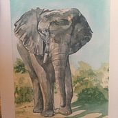 My project in Experimental Watercolor Techniques for Beginners course. Watercolor Painting project by lizscott08 - 02.16.2021