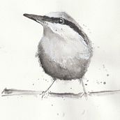 Little Bird ; Kim DePalmer. Watercolor Painting project by Kimberly DePalmer - 02.16.2021