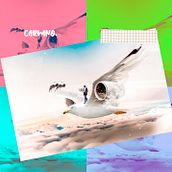 Meu projeto do curso: Fotomontagem futurista no Adobe Photoshop. Graphic Design, and Photomontage project by Fernanda do Carmo Souza - 02.16.2021