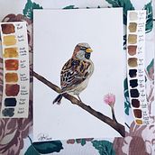 Mi Proyecto del curso: Ilustración naturalista de aves con acuarela. Un progetto di Illustrazione naturalistica di Dalia Daniel - 16.02.2021