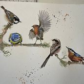 Sarah stokes watercolour birds Ein Projekt aus dem Bereich Aquarellmalerei von cheryl garner - 16.02.2021
