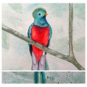 Mi Proyecto del curso: Acuarela artística para ilustración de aves. Naturalistic Illustration, and Watercolor Painting project by Raquel Ruiz Pérez - 02.17.2021