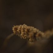Walking with perspective. Digital Photograph, and Outdoor Photograph project by Frank Pricone - 02.17.2021