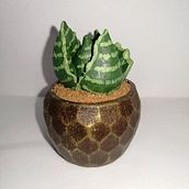 Macetas Ein Projekt aus dem Bereich Dekoration von Innenräumen von June Medina Solís - 17.02.2021