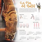 Los Pies del Ballet. Photographic Composition, Digital Photograph, Infographics, and Photo Retouching project by ximena arias - 02.25.2021