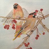 Feeding waxwings. My incentive for taking the course and for my final project were the bird photographs my daughter has taken. My project in Artistic Watercolor Techniques for Illustrating Birds course. Acr, and lic Painting project by Eve Lawrence - 02.18.2021