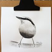 Monochrome Watercolor Bird. Watercolor Painting project by Mariel H. O. - 02.18.2021