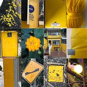 Mosaico Amarelo. Traditional illustration project by wilsomsorry - 02.19.2021