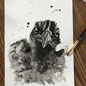 My project in Artistic Watercolor Techniques for Illustrating Birds course. Un progetto di Pittura ad acquerello di nicole_stokes - 19.02.2021
