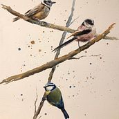 My project in Artistic Watercolor Techniques for Illustrating Birds course. Watercolor Painting project by rebecca_m_r - 02.20.2021
