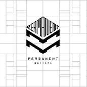 Brand Permanent Pallets. Un progetto di Design di loghi, Graphic design, Stor e telling di Fernando Berto - 21.02.2021