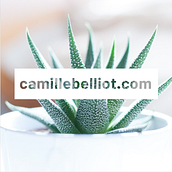 Presentation vidéo. Animation project by Camille Belliot - 04.17.2019