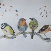 My project in Artistic Watercolor Techniques for Illustrating Birds course. Un projet de Illustration traditionnelle , et Aquarelle de lorna_wilson - 22.02.2021