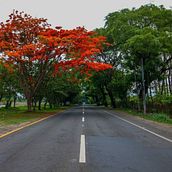 Cuaderno de viaje. Un projet de Beaux Arts , et Aquarelle de Karina Rodríguez - 21.02.2021