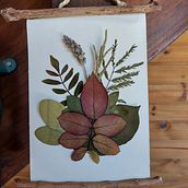 Meu projeto do curso: Técnicas básicas para prensar flores e plantas. Ilustração botânica projeto de Tamires Oliveira - 21.02.2021