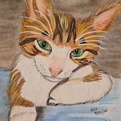 MILO...un gato con personalidad. Watercolor Painting project by Nazarete Barria Peralta - 03.01.2021