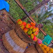 It's the mango season. Un proyecto de Escritura de aakashjoshi1012 - 23.02.2021