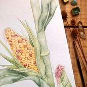 aquarelas botânicas. Traditional illustration, Botanical Illustration, Naturalistic Illustration, and Watercolor Painting project by Mayara Maximilla - 02.22.2021