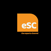 "E-Sports" - Motion Graphics. Animation, YouTube Marketing, Creativit, Video Editing, and Motion Graphics project by Alessandra Bonholi Barbosa - 12.15.2019