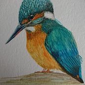 My project in Artistic Watercolor Techniques for Illustrating Birds course. Watercolor Painting project by kim1301 - 04.02.2021