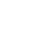 DUSE. Br, ing & Identit project by Hadi Ul Hassan Syed - 10.24.2020
