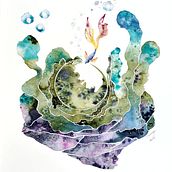 Mi Proyecto del curso: Técnicas modernas de acuarela. Watercolor Painting project by Mounya Accad - 02.25.2021