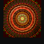 Mandala Mandala. Digital Drawing, and Digital Illustration project by Sharon Bousquet - 02.15.2021