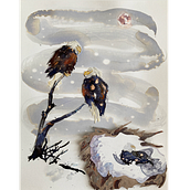 My project in Illustrating Nature: Exploring the Bald Eagle. Traditional illustration, Naturalistic Illustration, and Watercolor Painting project by Sandy H - 02.25.2021