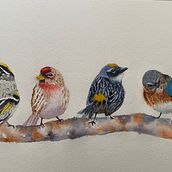 My project in Artistic Watercolor Techniques for Illustrating Birds course. Un proyecto de Pintura a la acuarela de Eileen Arthur - 25.02.2021