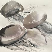  A Creative Exploration course: jellyfish in ink. Ink Illustration project by Petra Boshart - 02.28.2021