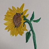 My project in Botanical Watercolor: Illustrate the Anatomy of Flowers course. Watercolor Painting project by Vanessa Dubuc-LeComte - 02.26.2021