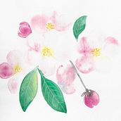 My project in Creation of Color Palettes with Watercolor course. Watercolor Painting project by clarazanetto - 03.13.2021