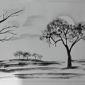 Mi Proyecto del curso: Dibujo para principiantes nivel -1. Drawing project by Beth - 03.04.2021