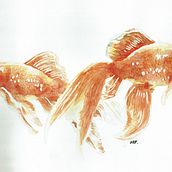 Proyecto final: peces. Un projet de Beaux Arts de anikunigood - 27.02.2021