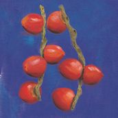 Meu projeto do curso: Retrato pictórico com técnicas digitais. Een project van Traditionele illustratie,  Botanische illustratie y Digitale illustratie van floramvillar - 27.02.2021