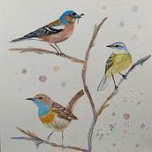 Mi Proyecto del curso: Acuarela artística para ilustración de aves. Artistic Drawing project by Marta Clausell - 02.27.2021